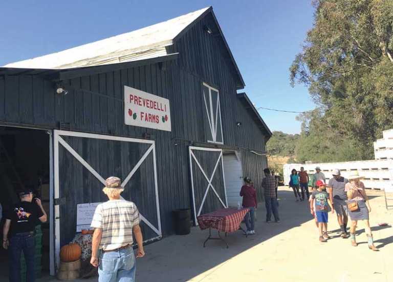 Open Farm Tours returns