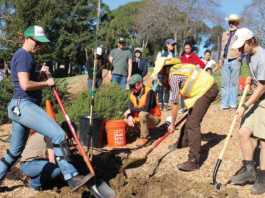 World Wetlands Day celebration set for Saturday