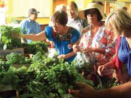 Greenhouses to open doors to the public