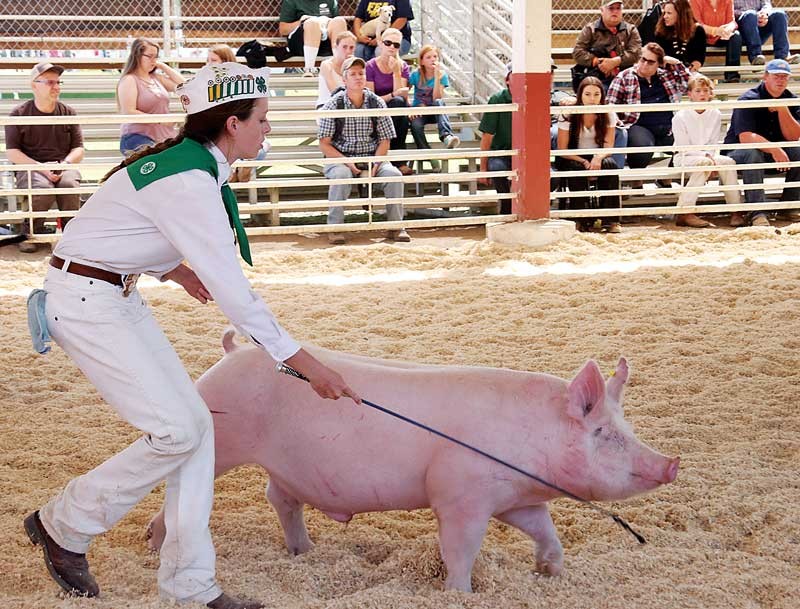 Crowds gather for opening day of the Santa Cruz County Fair The