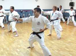 Art on the battlefield: Karate instructor aims to preserve tradition
