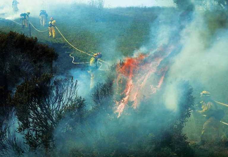 Wild fire scorches outhouse, brush