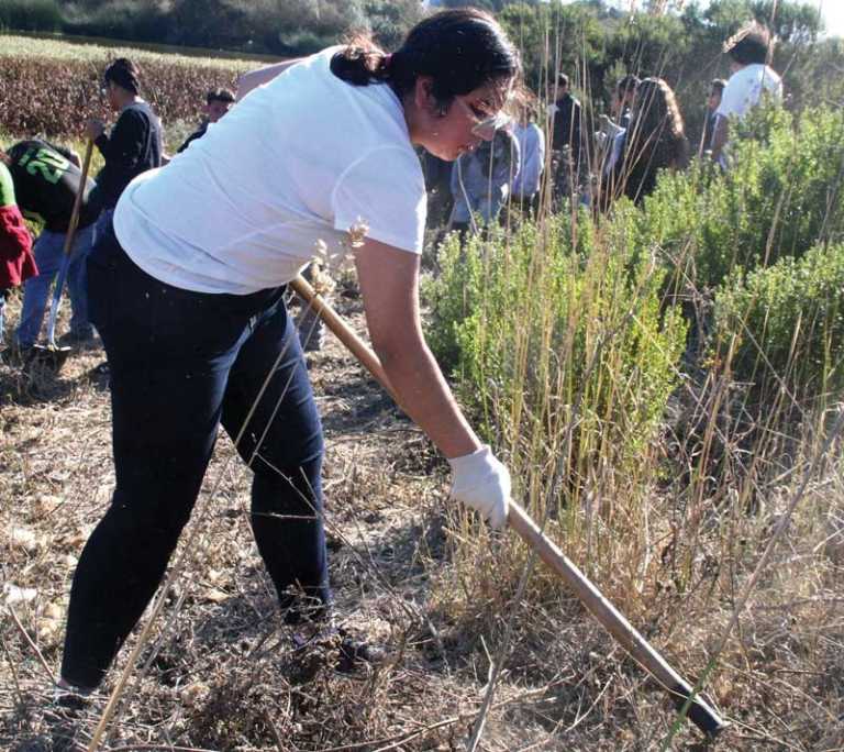 New School program connects agriculture, environment