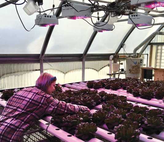 Agriculture Tech degree launches at Cabrillo College