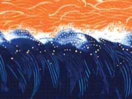 Aptos artist brings color to fitness club