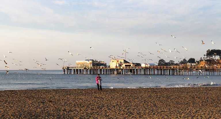 King tides usher in the New Year