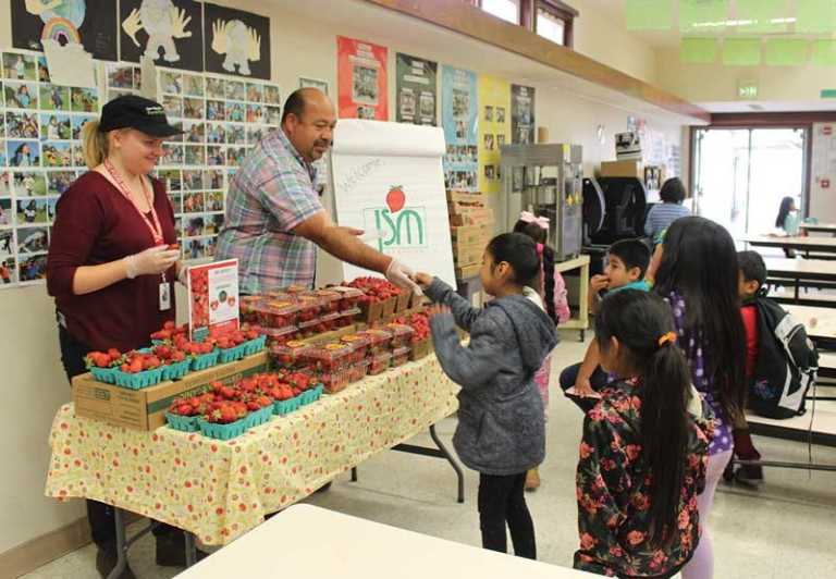 Local students learn about strawberry growing