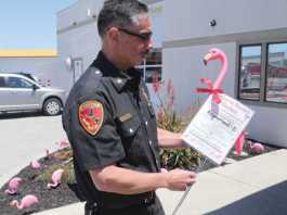 Flocking for a cause