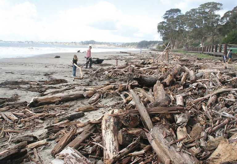 Heavy surf pounds coast