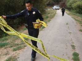 Dead woman was stung multiple times