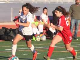 Girls soccer: Watsonville dominates Carmel to secure second PCAL-M win