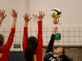 Girls volleyball: Grizzlies battle back to beat Breakers for league win