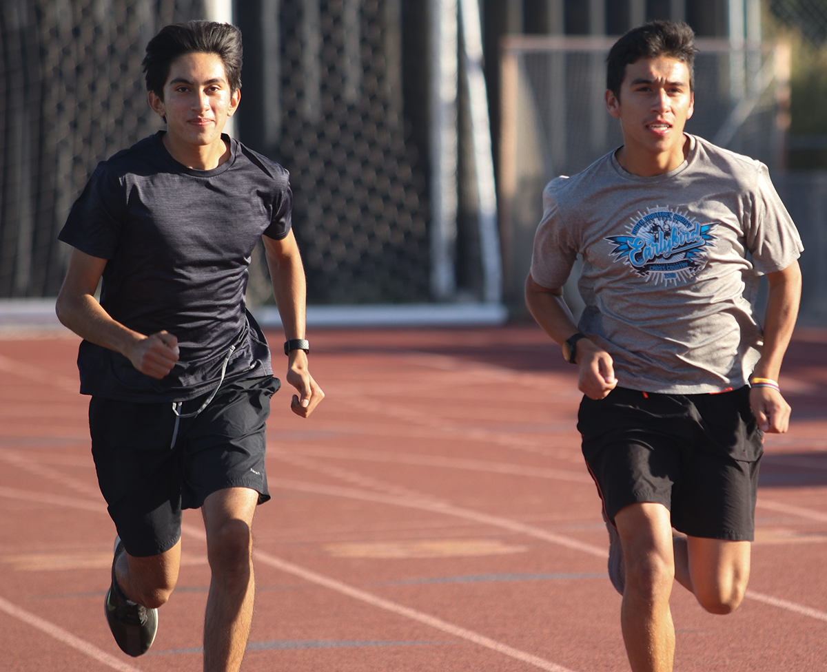 HS cross country: Wildcatz, Ruiz set to make noise at PCAL championships -  The Pajaronian