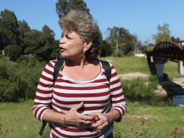 Woman killed by tree in Santa Cruz identified as homeless rights activist