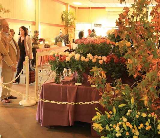 Wine and Roses gala benefits Health Trust