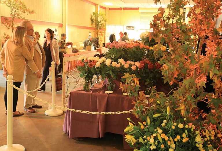 Wine and Roses gala benefits Health Trust