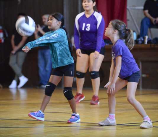 Watsonville Starlings continue to shine