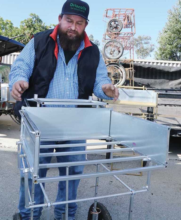 Ag worker's invention streamlines berry picking