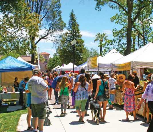 Paso Robles Lavender Festival returns for ninth year