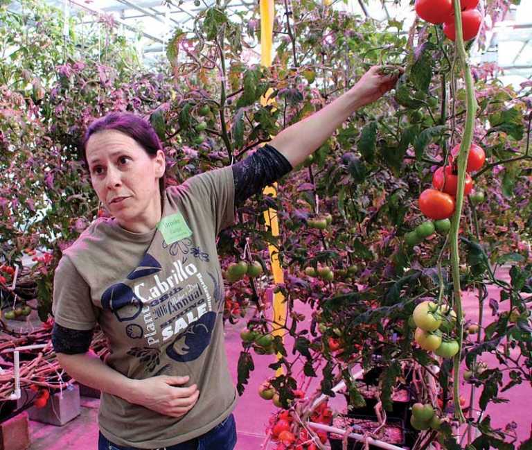 Cabrillo College kicks off new ag tech center