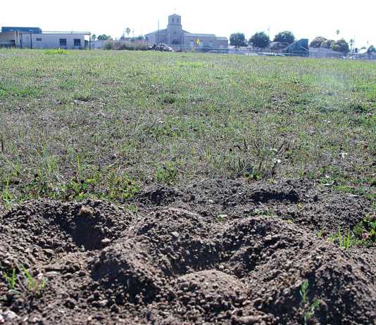 Community, PVUSD to decide E.A. Hall Measure L spending