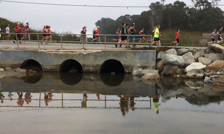 Kenyans Kipruto, Rotich make triumphant returns to Wharf to Wharf