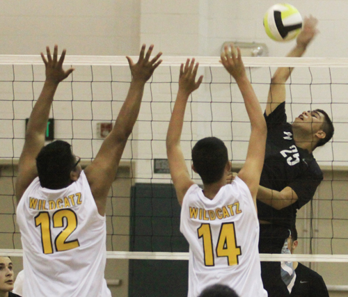 Boy's MBL-P Volleyball: Pajaro Valley continues dominance in sweep