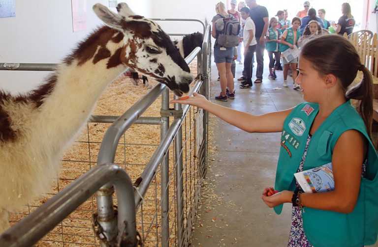 County Fair takes off