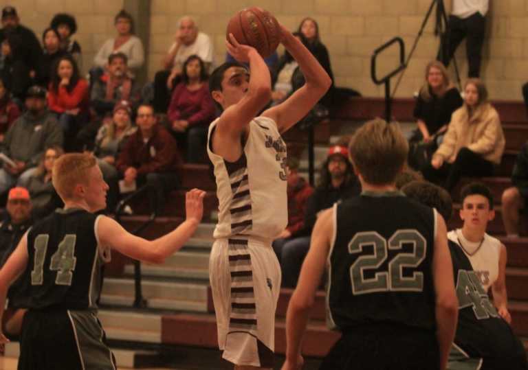 Boys' Basketball: Gallo leads new-look Sharks to season-opening victory