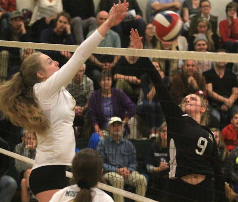 Girls' NorCal D-V Volleyball: Mt. Madonna's comeback falls short in 5-set heartbreaker v San Marin