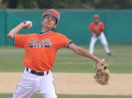 PONY Baseball: Franich Park hosting 10 teams from Bay Area for regional tournament