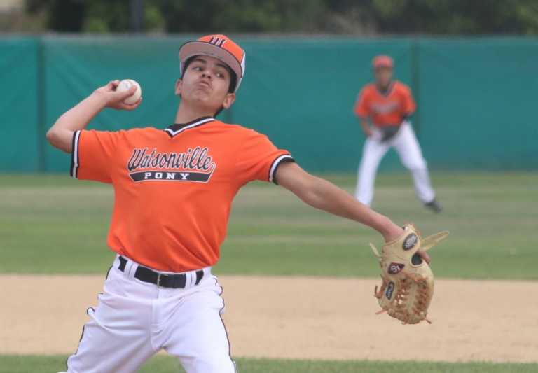 PONY Baseball: Franich Park hosting 10 teams from Bay Area for regional tournament