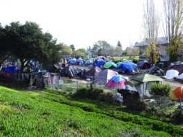 County looking to spend $10 million on homelessness programs