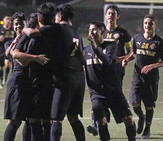 Boys' soccer roundup, 2/1: Streaking ‘Catz crack state’s top 15