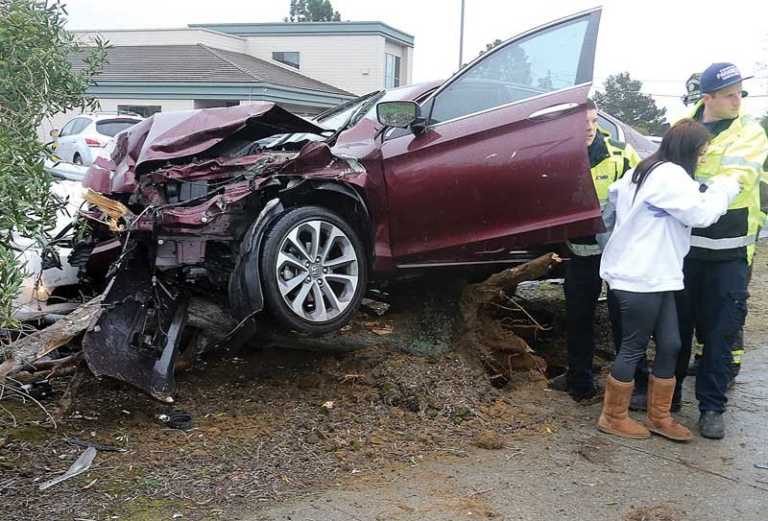 PHOTO: Car takes out tree and sign