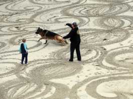 Photo Gallery, July 12, 2019