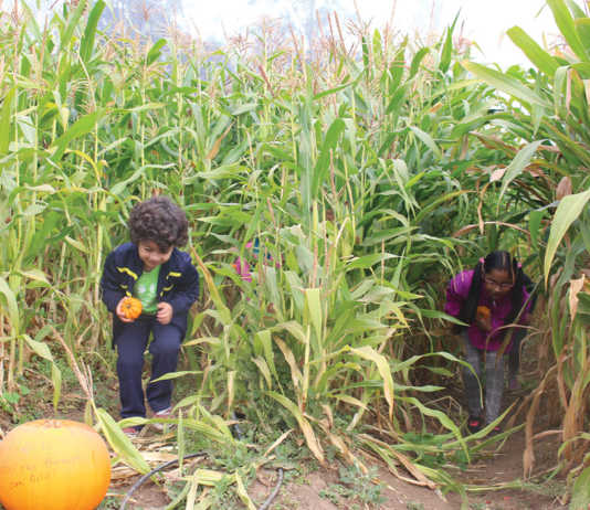 Kindergarteners visit Watsonville’s Crystal Bay Farm