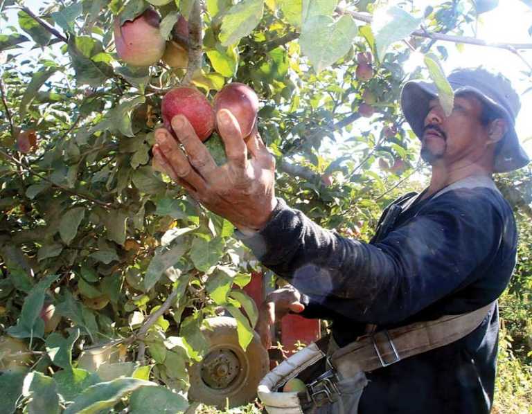 Open Farm Tours returns this weekend