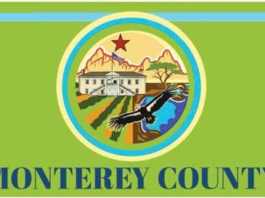 Watsonville artist’s design is Monterey County’s first flag