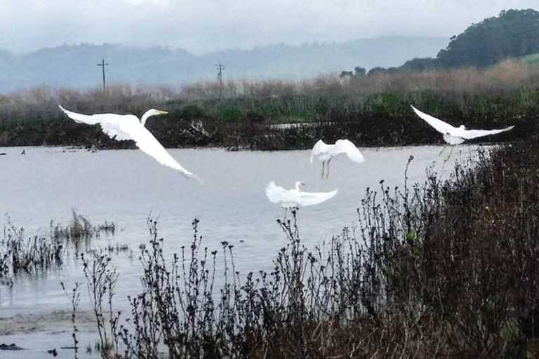 PHOTO: King tides return