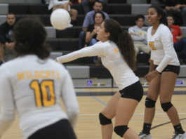 Local roundup, 9/14: Watsonville volleyball begins league season with sweep of N.M.C.