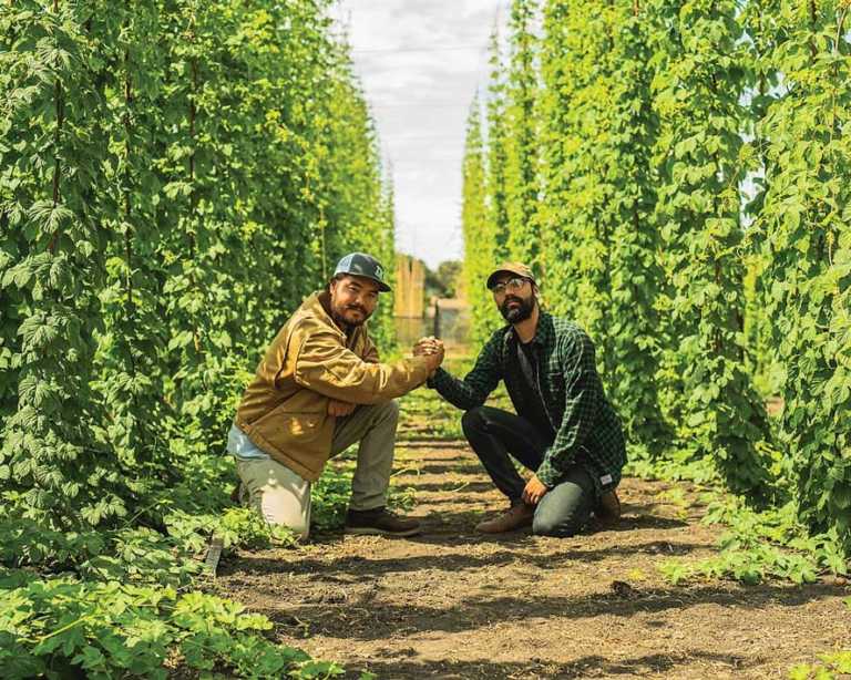 Business brewing: Historic crop making comeback as city takes cautious step into brew scene