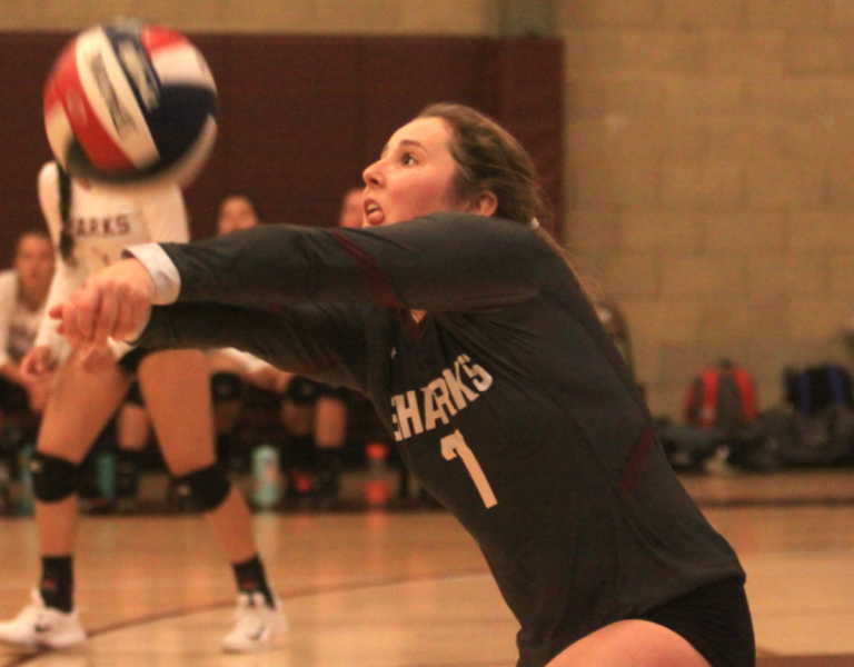 Girls CCS Volleyball: St. Francis wins 1st playoff game since 2009