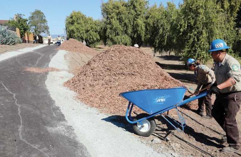 Hazelwood Park planting effort underway