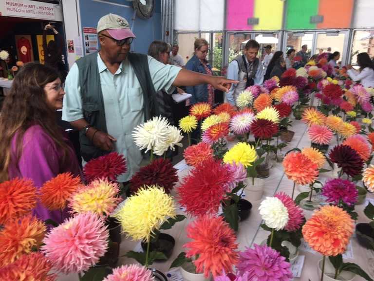 PHOTO: Dahlia Show returns