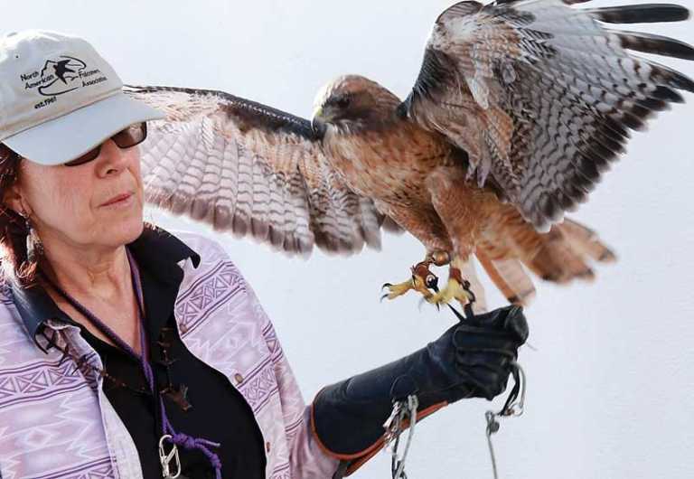 Birding festival expands