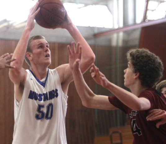 Boy's CCS Basketball: Mustangs knocked out by hot-shooting Cardinals