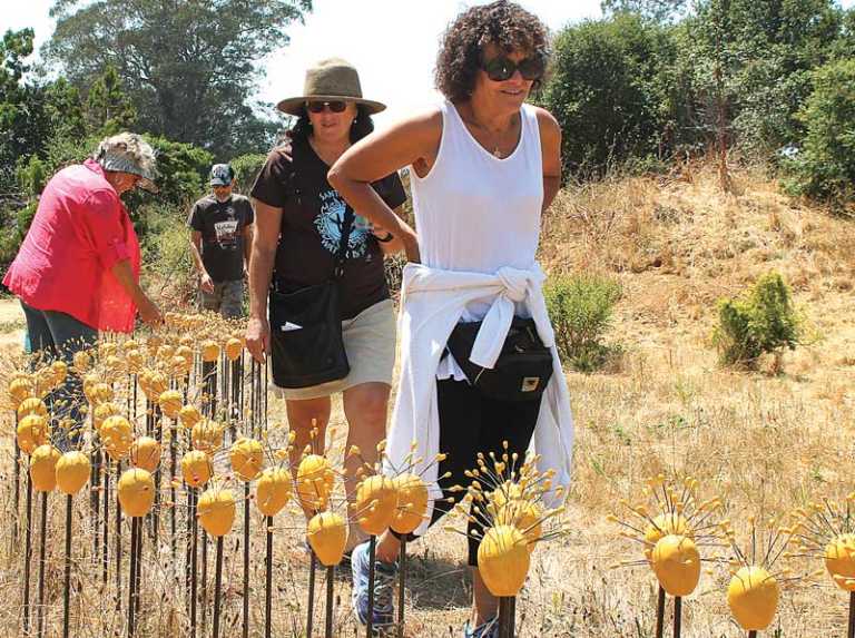 UC Santa Cruz Arboretum hosts large-scale art exhibit