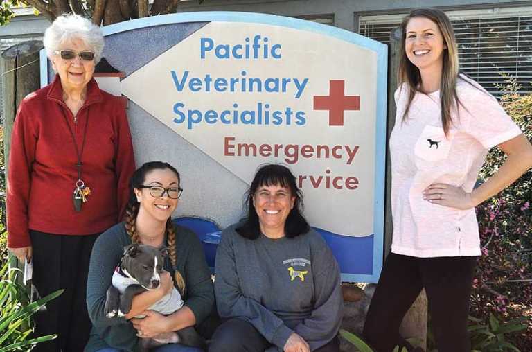 Dog training club’s donation helps sick puppy