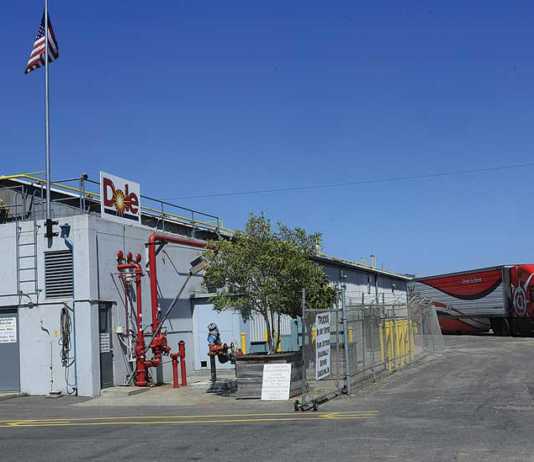 Dole Berry Co. to close doors